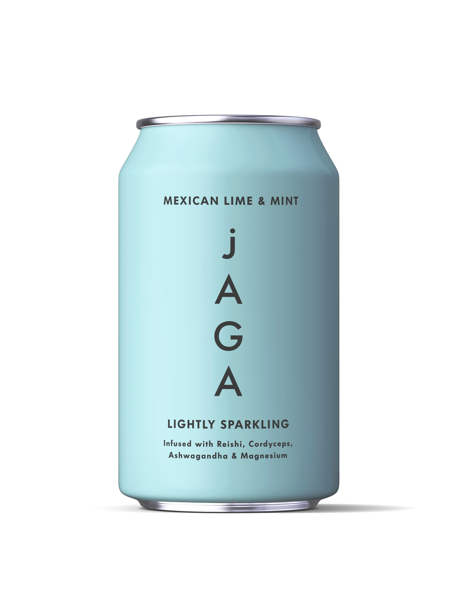 SINGLE CAN OF MEXCAN LIME & MINT