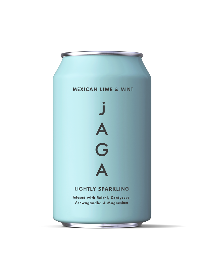 SINGLE CAN OF MEXCAN LIME & MINT